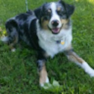 Meet your Posher, Ginny